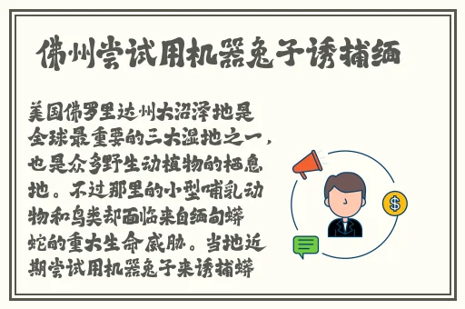 海角精产国品一二三蘑菇