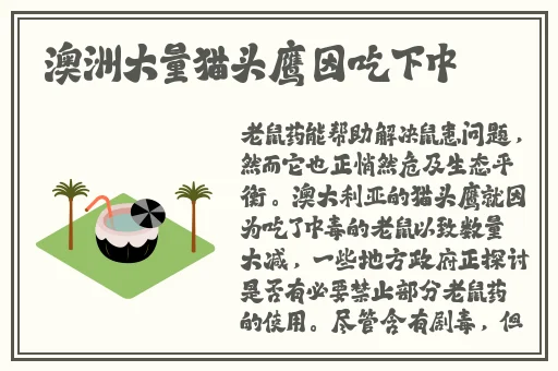 17影院